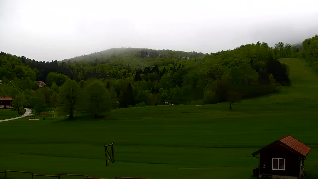 Webcam Lokve – The beauty of the Trnovo forest