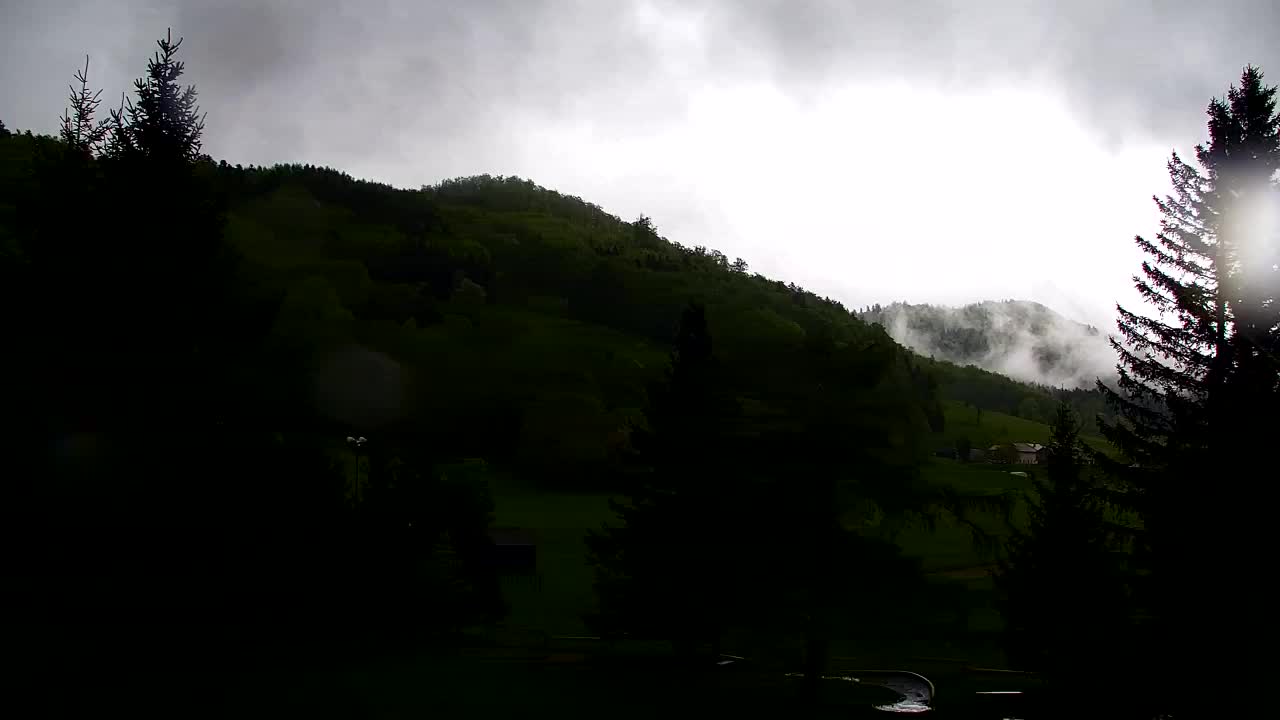 Webcam Lokve – The beauty of the Trnovo forest