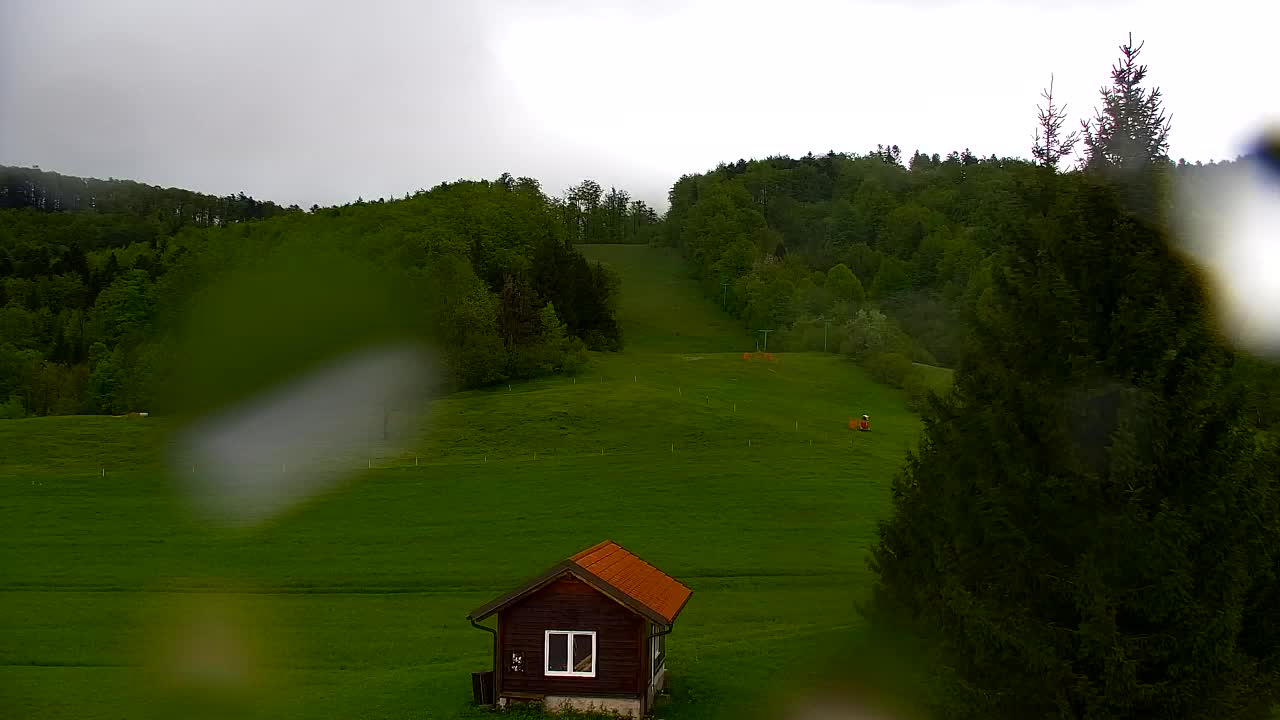 Webcam Lokve – The beauty of the Trnovo forest