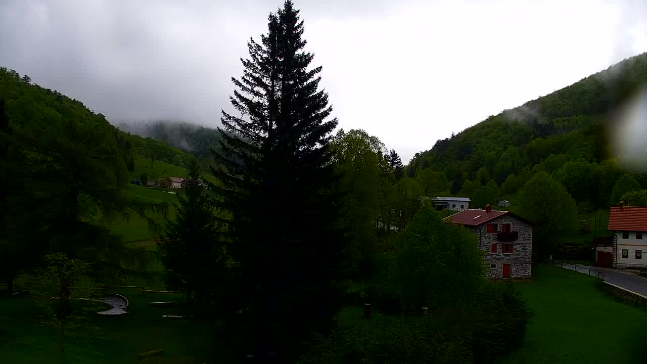 Webcam Loqua / Lokve – La bellezza della selva di Tarnova