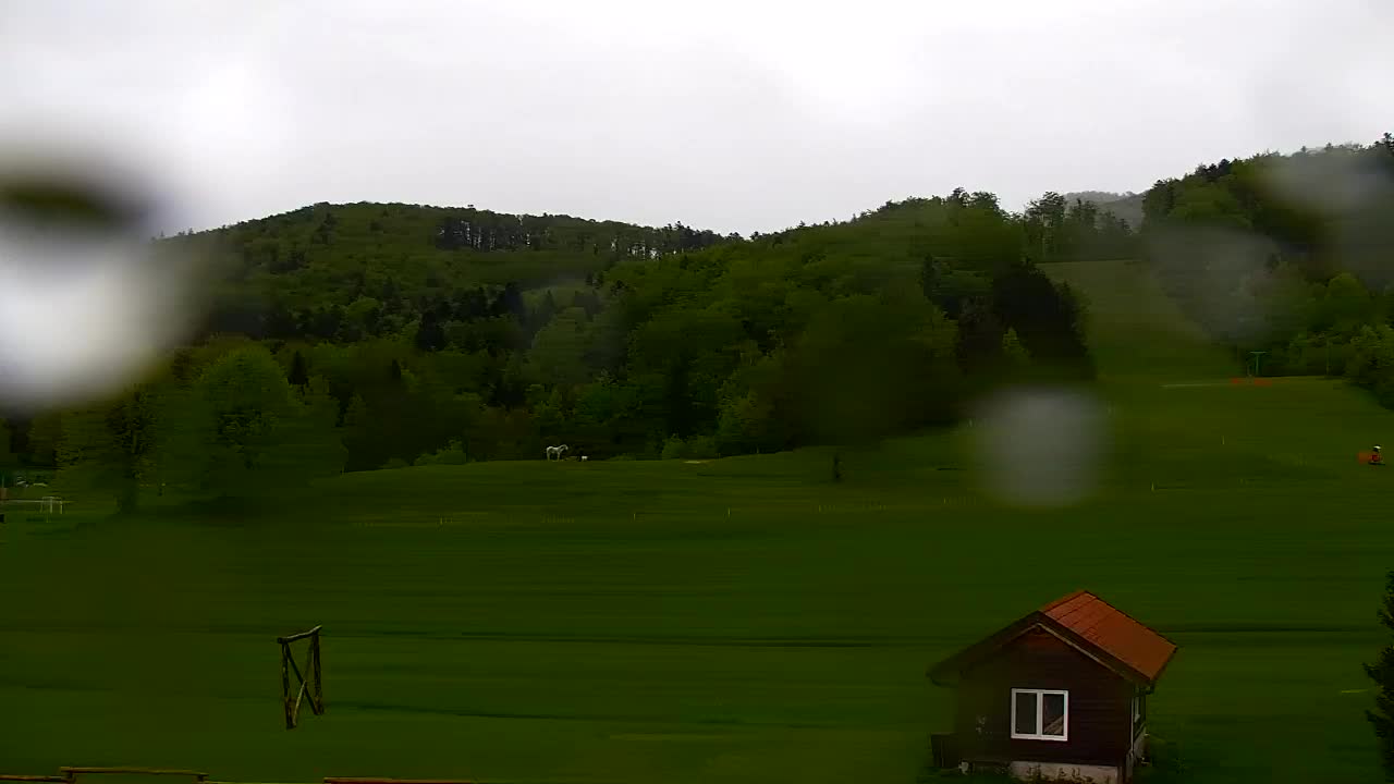 Webcam Lokve – La beauté de la forêt de Trnovo