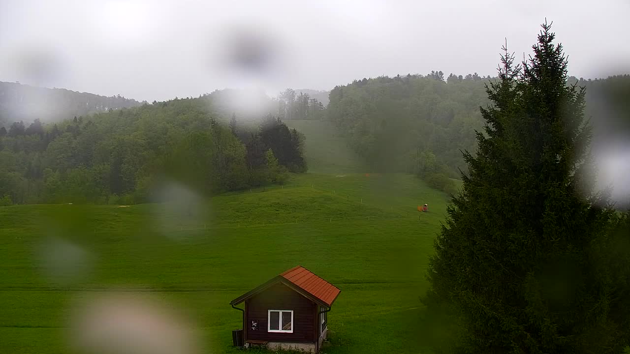 Webcam Lokve – La beauté de la forêt de Trnovo