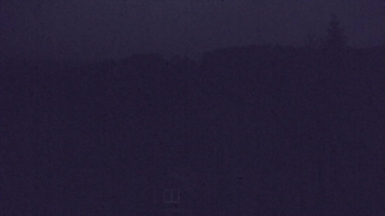 Webcam Loqua / Lokve – La bellezza della selva di Tarnova