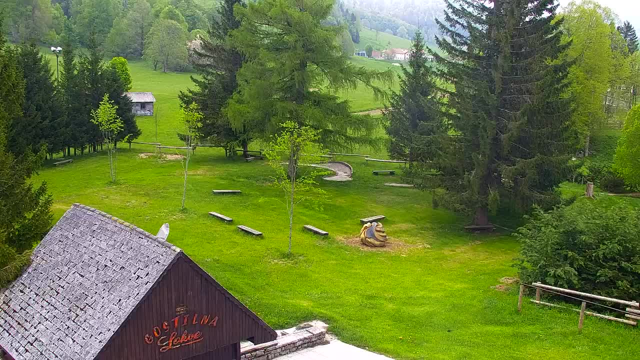 Webcam Lokve – The beauty of the Trnovo forest