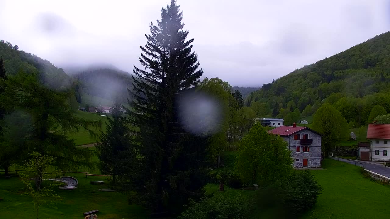 Webcam Lokve – The beauty of the Trnovo forest