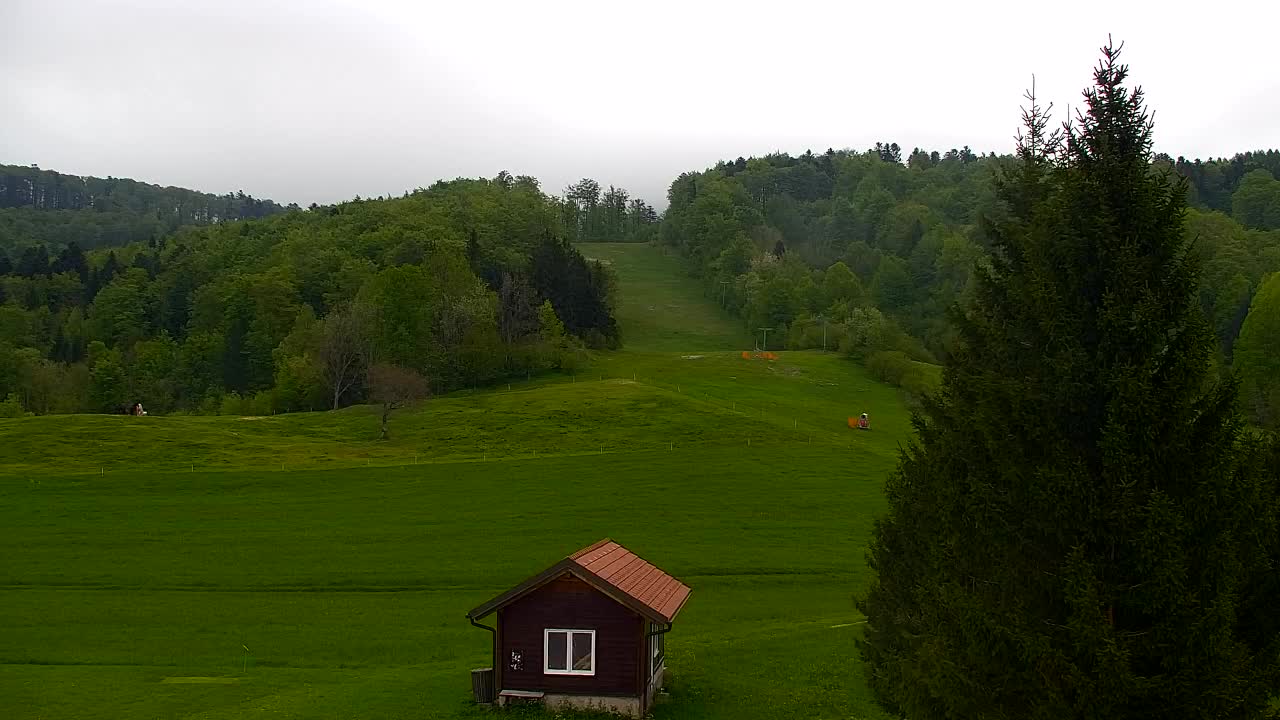 Webcam Lokve – La beauté de la forêt de Trnovo