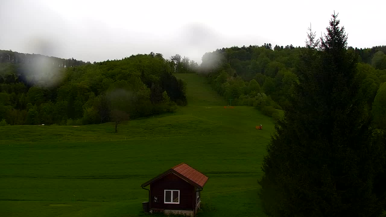 Webcam Lokve – The beauty of the Trnovo forest