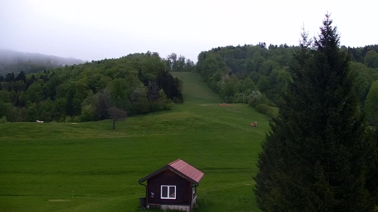 Lokve kamera – Naravne lepote Trnovskega gozda