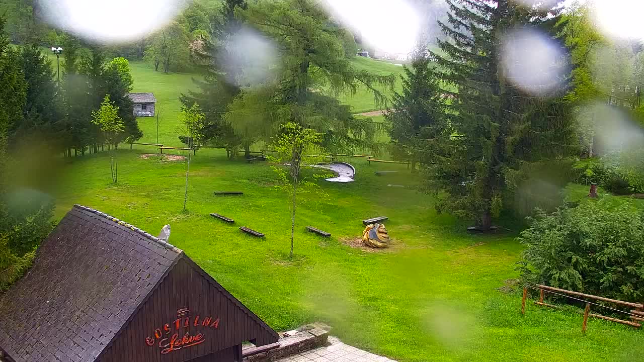 Webcam Lokve – Die Schönheit des Trnovo-Waldes