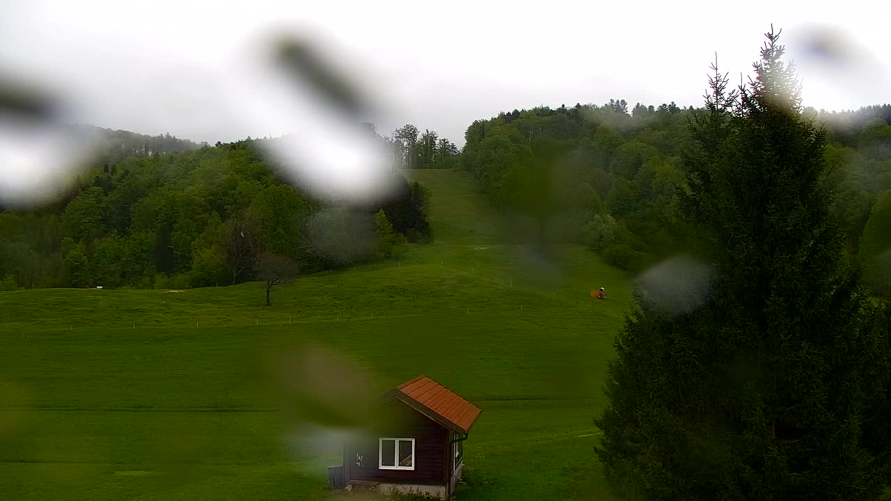 Webcam Loqua / Lokve – La bellezza della selva di Tarnova