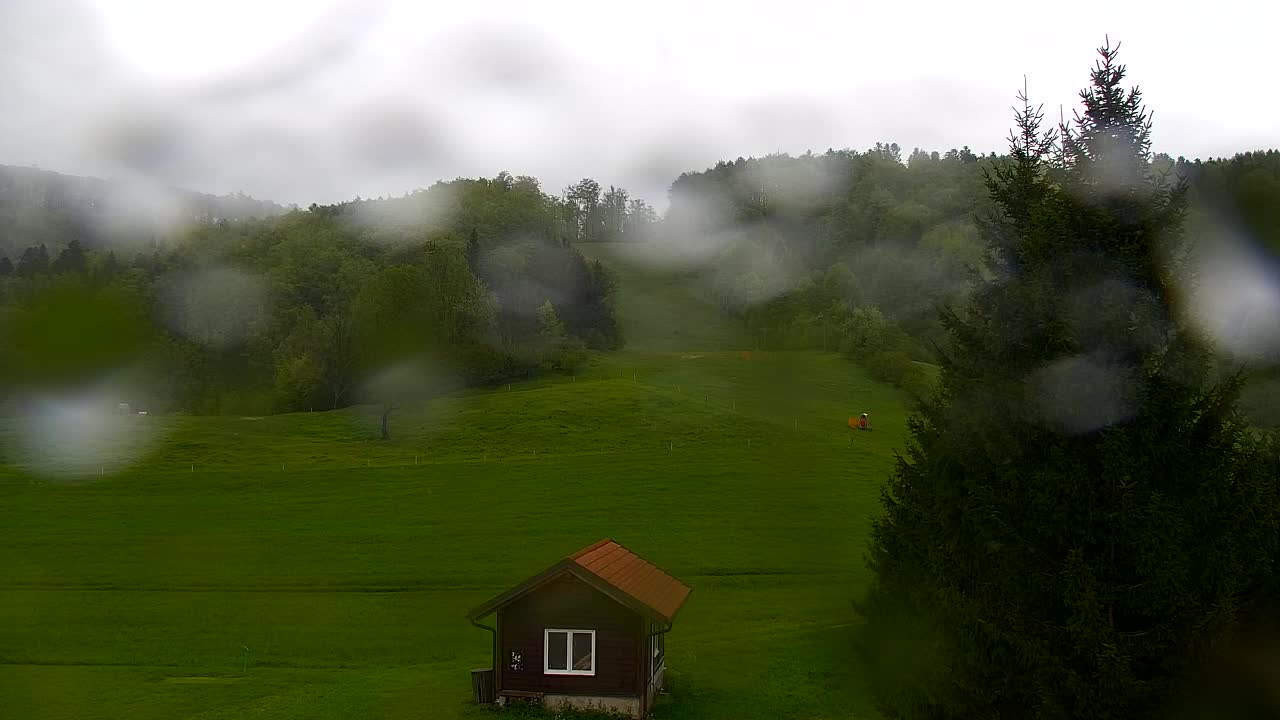 Webcam Lokve – The beauty of the Trnovo forest