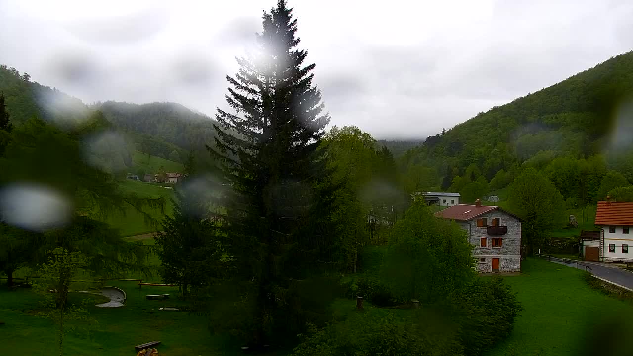Webcam Lokve – Die Schönheit des Trnovo-Waldes