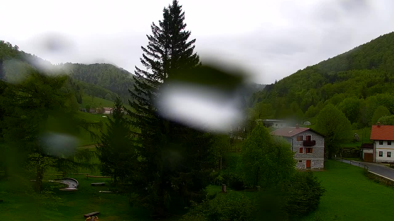 Webcam Lokve – La beauté de la forêt de Trnovo