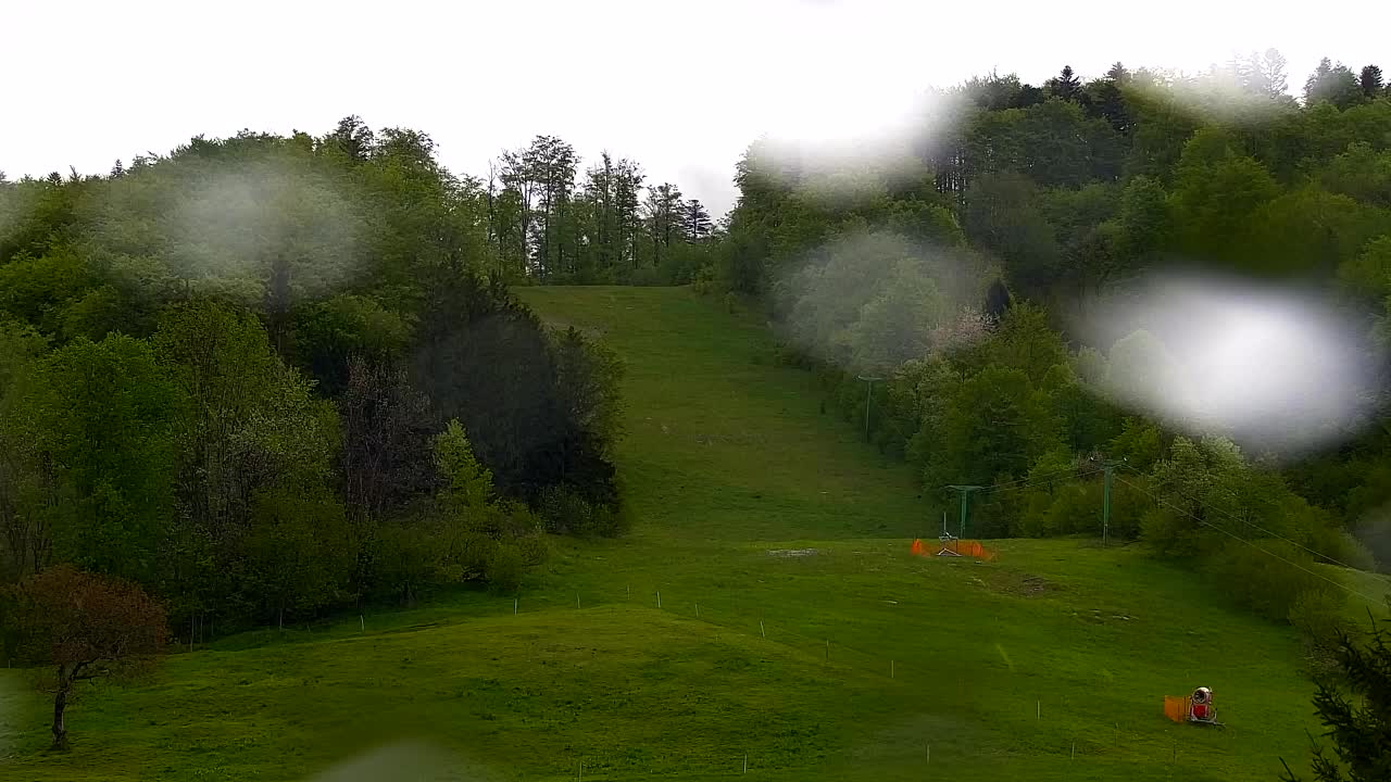Webcam Loqua / Lokve – La bellezza della selva di Tarnova