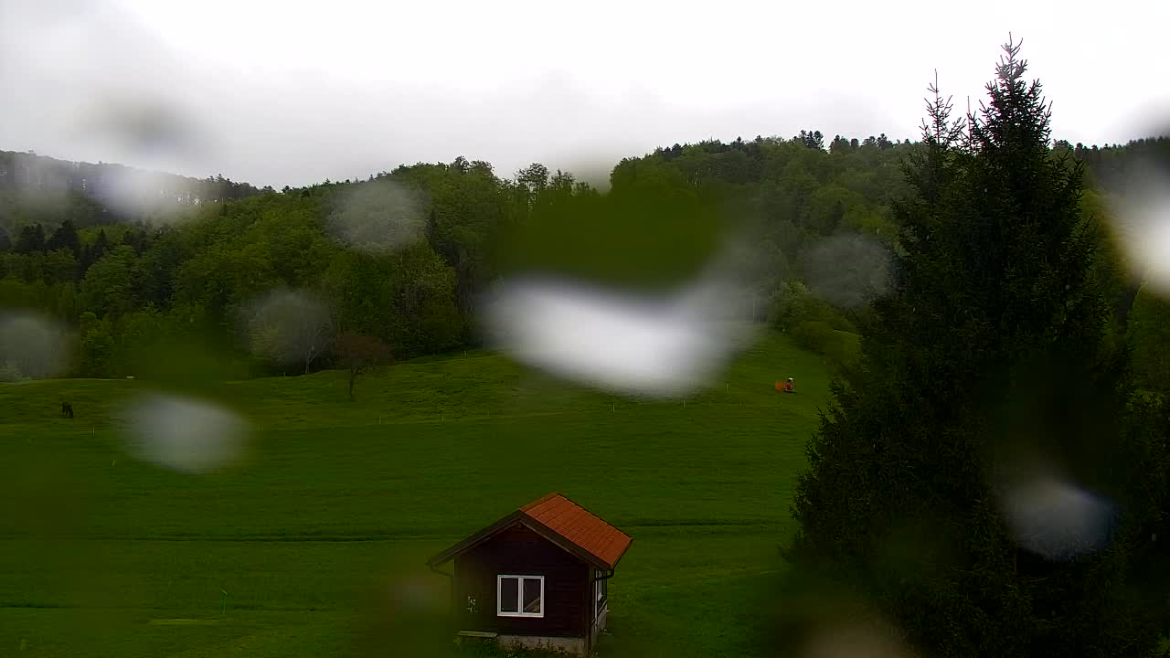 Webcam Lokve – Die Schönheit des Trnovo-Waldes