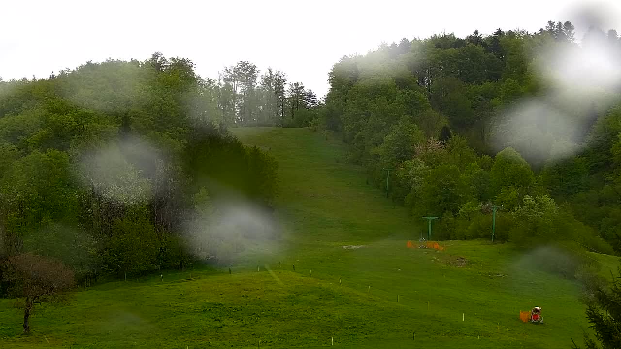 Webcam Loqua / Lokve – La bellezza della selva di Tarnova