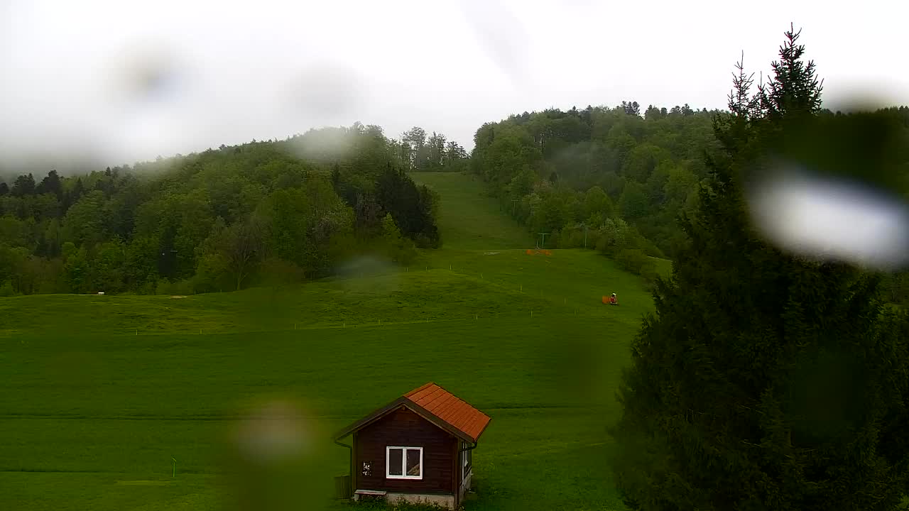 Webcam Lokve – Die Schönheit des Trnovo-Waldes