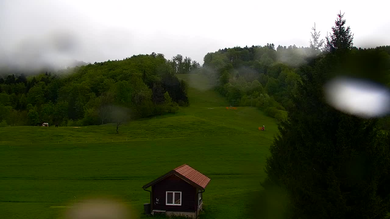 Webcam Loqua / Lokve – La bellezza della selva di Tarnova