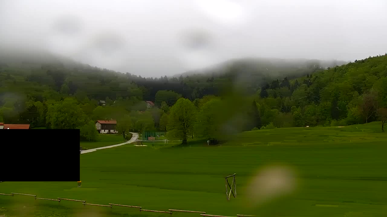 Webcam Loqua / Lokve – La bellezza della selva di Tarnova