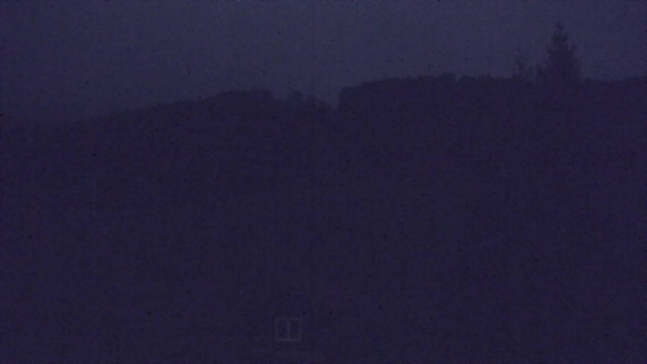 Webcam Loqua / Lokve – La bellezza della selva di Tarnova