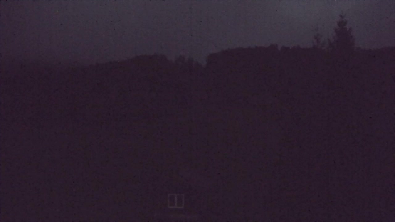Webcam Lokve – La beauté de la forêt de Trnovo