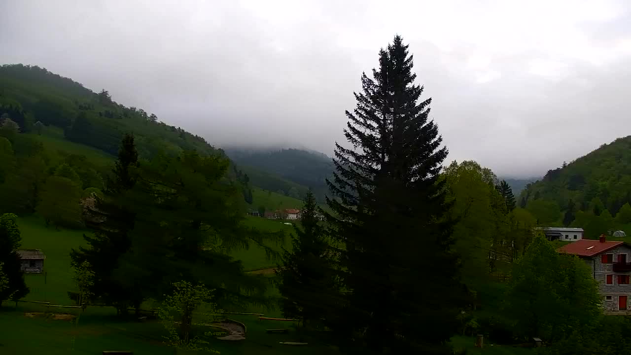 Webcam Lokve – La beauté de la forêt de Trnovo