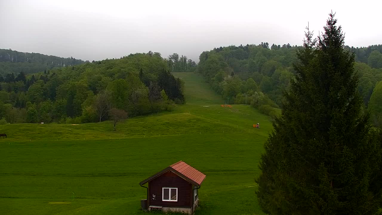 Camera en vivo Lokve – La belleza del bosque de Trnovo