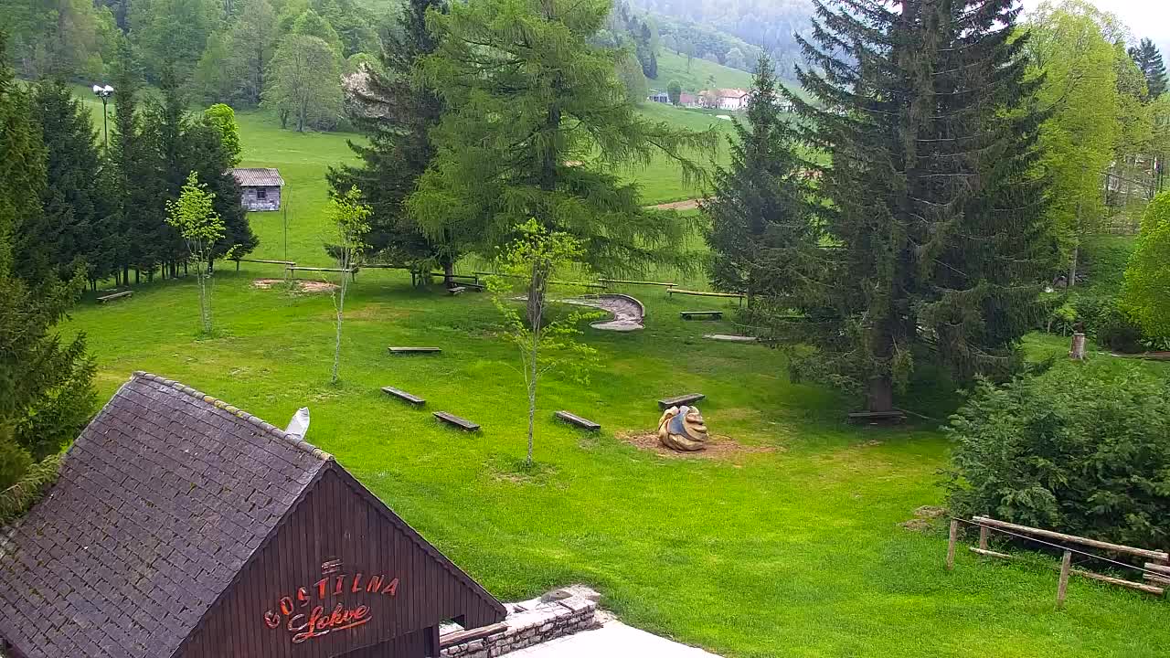 Webcam Lokve – The beauty of the Trnovo forest