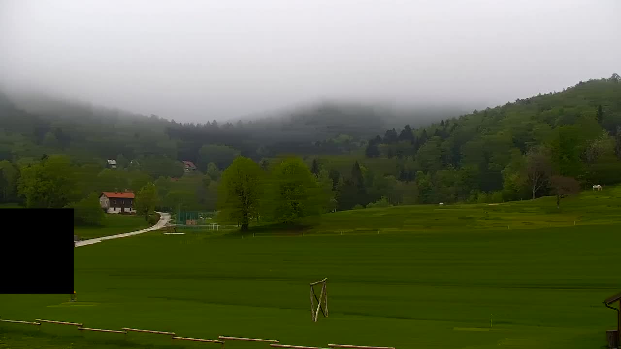 Webcam Loqua / Lokve – La bellezza della selva di Tarnova