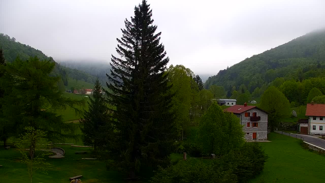 Webcam Loqua / Lokve – La bellezza della selva di Tarnova