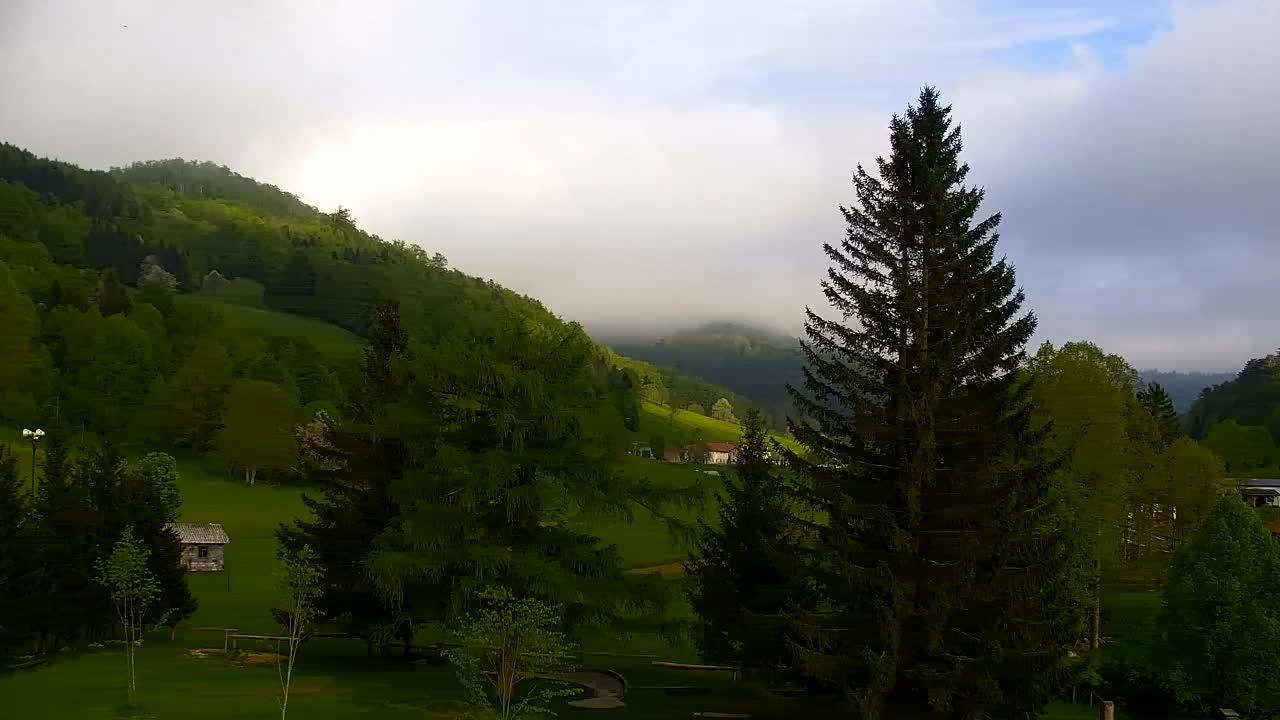 Webcam Loqua / Lokve – La bellezza della selva di Tarnova