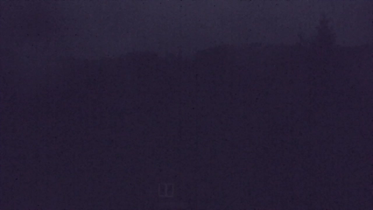 Webcam Lokve – The beauty of the Trnovo forest