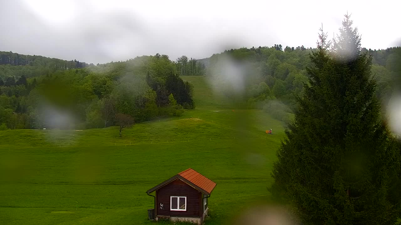 Webcam Lokve – The beauty of the Trnovo forest