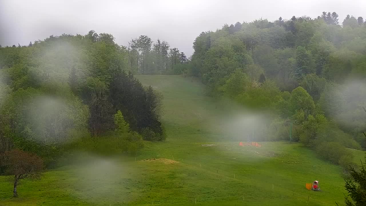 Webcam Lokve – La beauté de la forêt de Trnovo