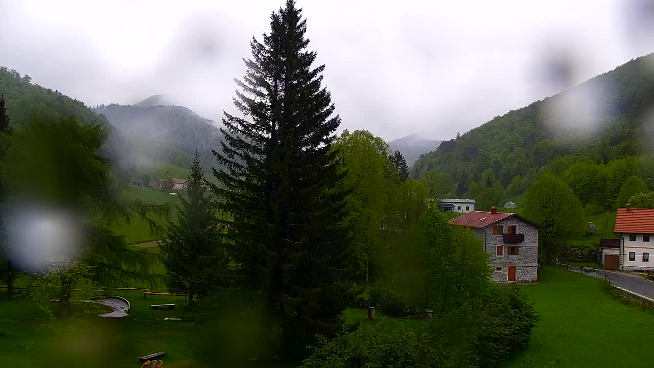 Webcam Loqua / Lokve – La bellezza della selva di Tarnova