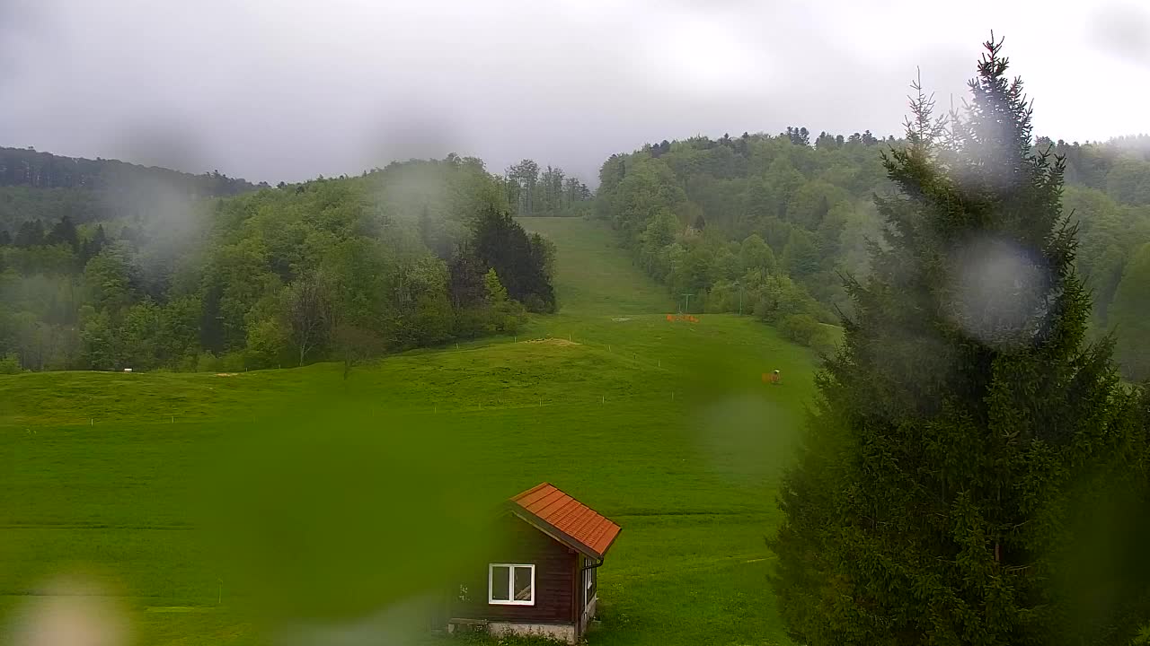 Webcam Lokve – The beauty of the Trnovo forest