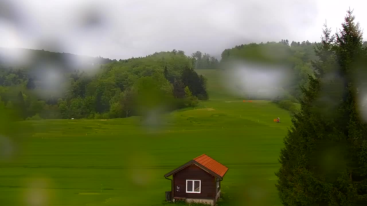 Webcam Lokve – La beauté de la forêt de Trnovo