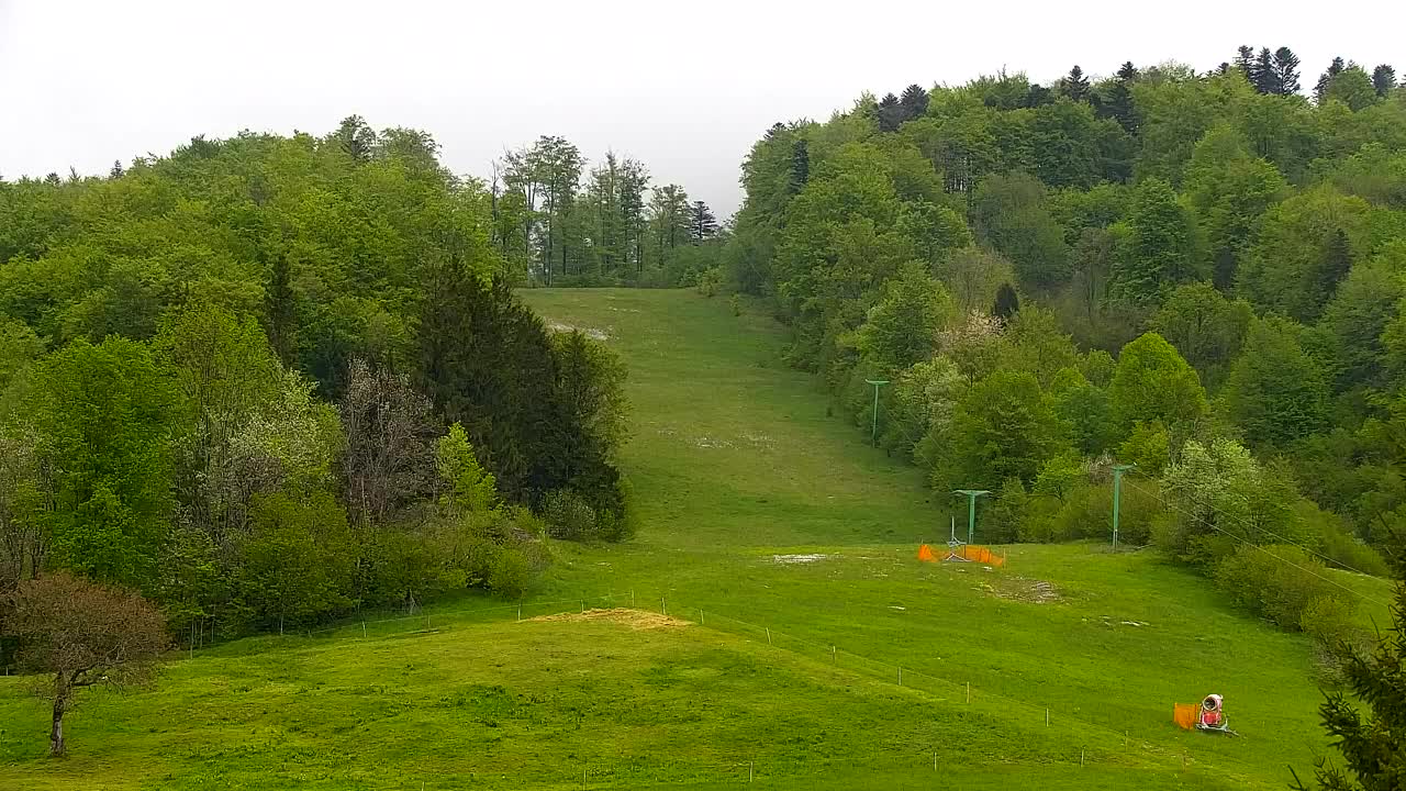 Webcam Loqua / Lokve – La bellezza della selva di Tarnova