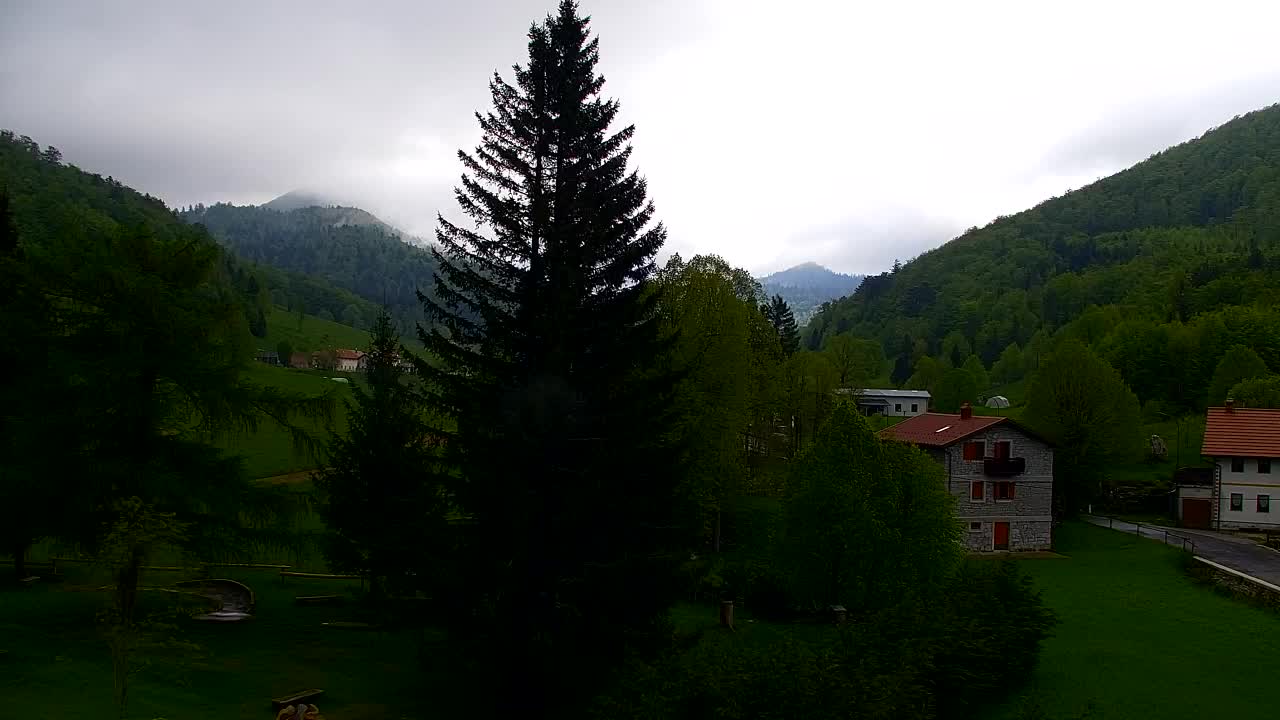 Webcam Lokve – The beauty of the Trnovo forest