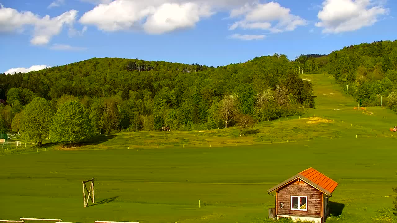 Webcam Lokve – The beauty of the Trnovo forest