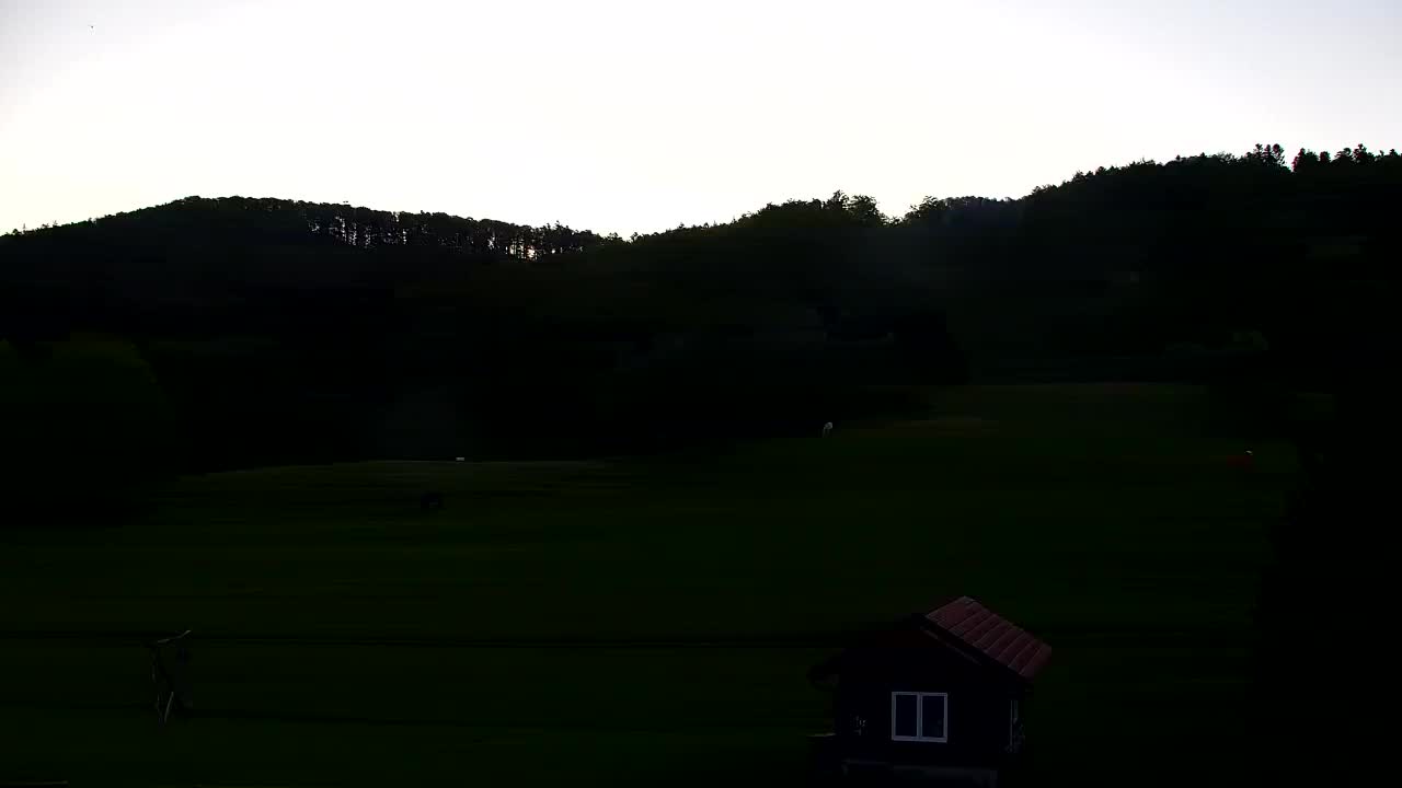 Webcam Lokve – The beauty of the Trnovo forest