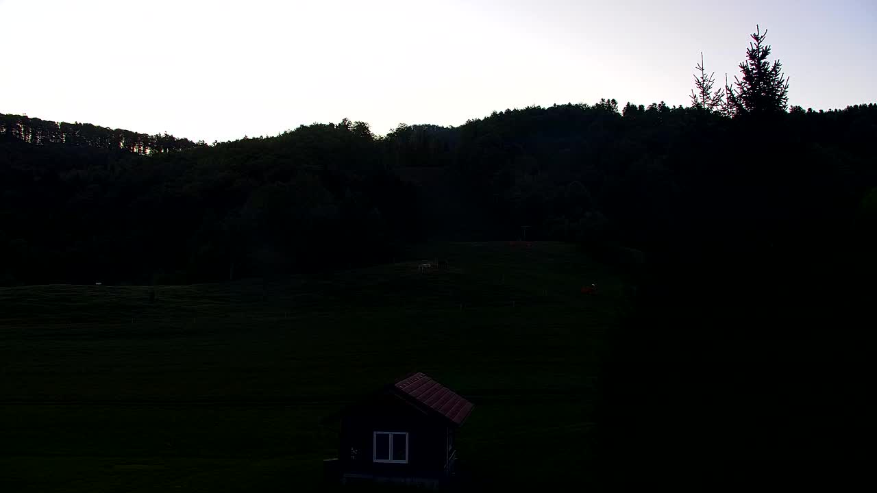 Webcam Loqua / Lokve – La bellezza della selva di Tarnova