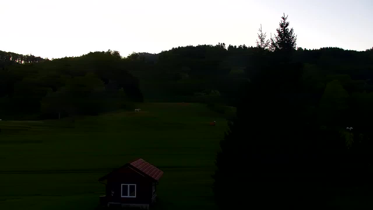 Webcam Loqua / Lokve – La bellezza della selva di Tarnova