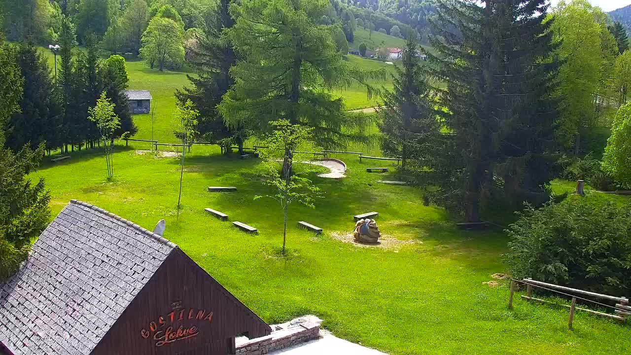 Webcam Lokve – The beauty of the Trnovo forest