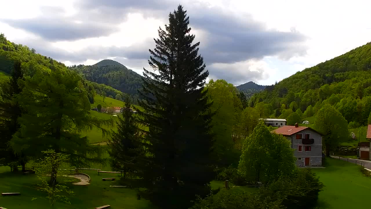 Camera en vivo Lokve – La belleza del bosque de Trnovo