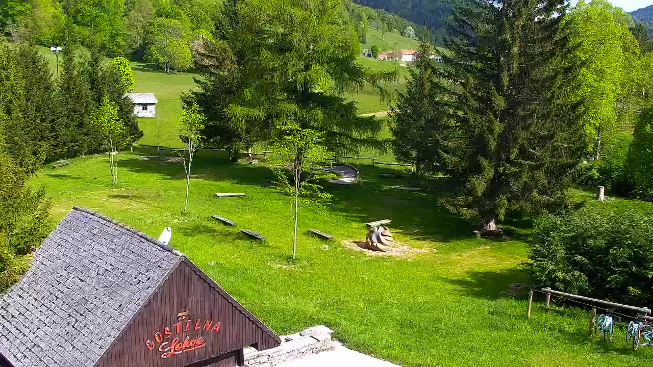 Webcam Lokve – The beauty of the Trnovo forest