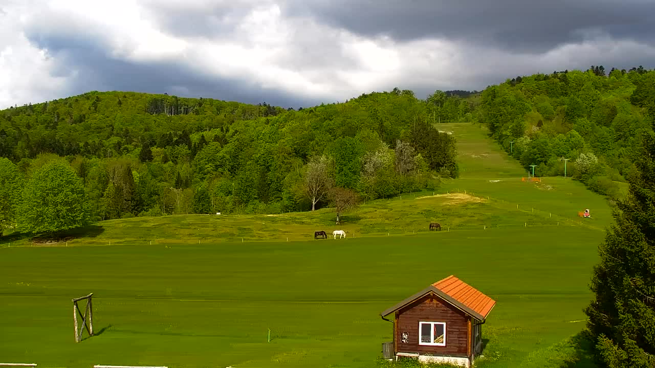 Webcam Lokve – The beauty of the Trnovo forest