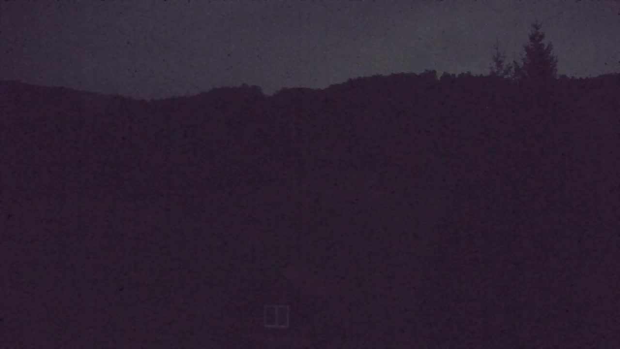 Webcam Loqua / Lokve – La bellezza della selva di Tarnova