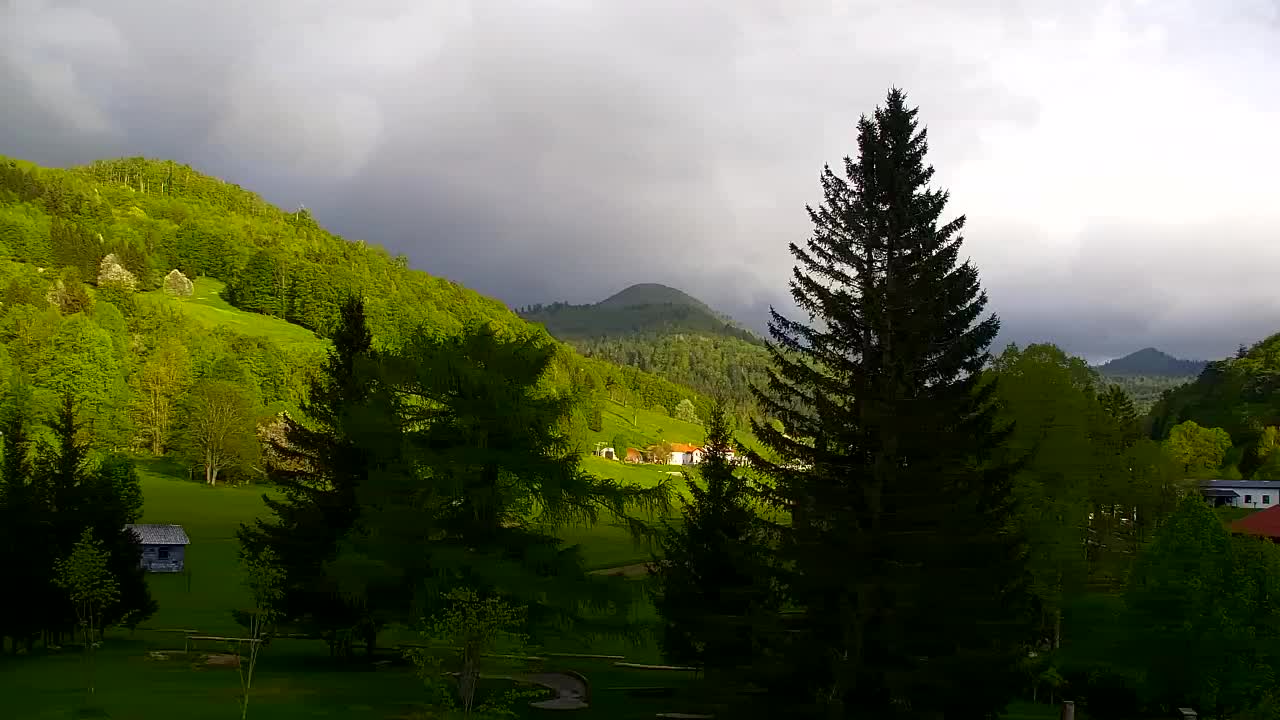 Webcam Lokve – La beauté de la forêt de Trnovo