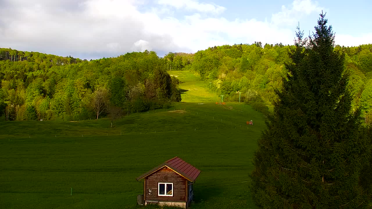 Webcam Loqua / Lokve – La bellezza della selva di Tarnova